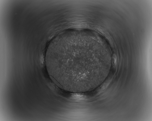 X0000090700380200707201202