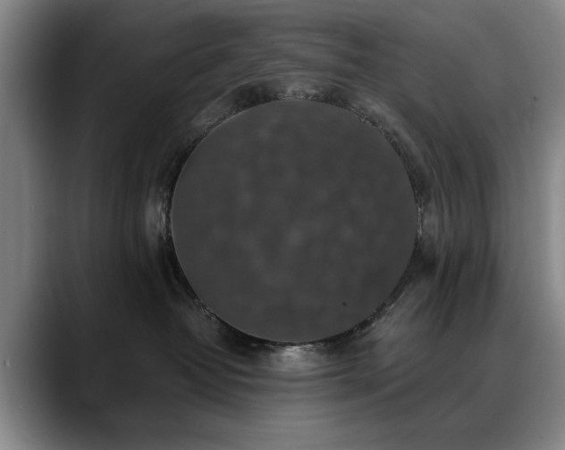 X0000090700382200707201202