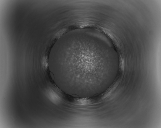 X0000090700383200707201202