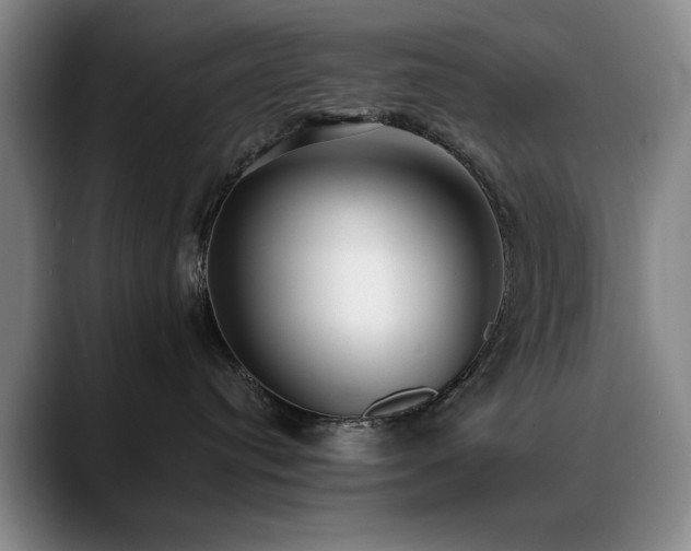 X0000090700384200707201202