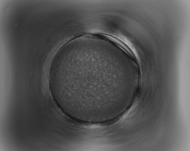 X0000090700385200707201201