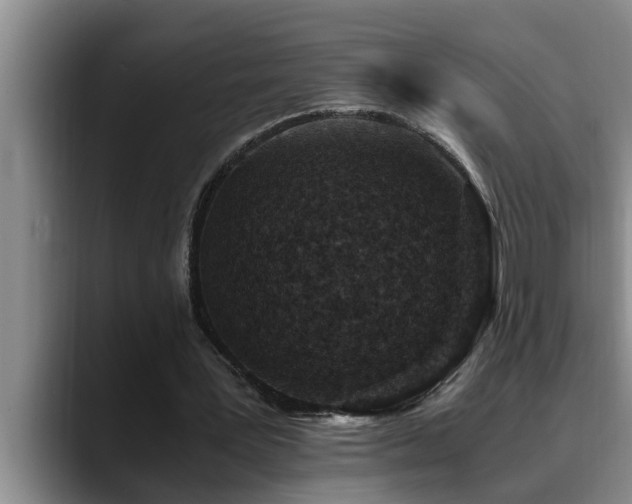 X0000090700387200707201201