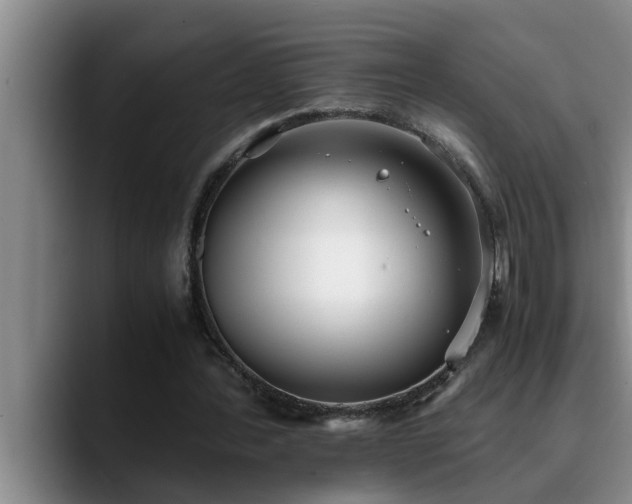 X0000090700388200707201201