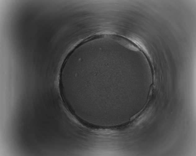 X0000090700389200707201201