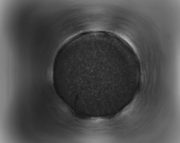 X0000090700391200707201201