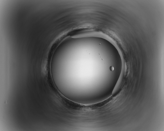 X0000090700392200707201201