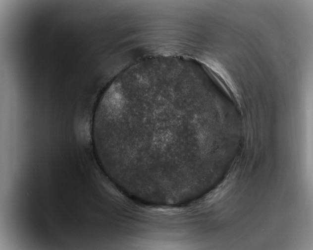 X0000090700393200707201201