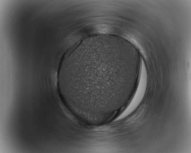 X0000090700397200707201201