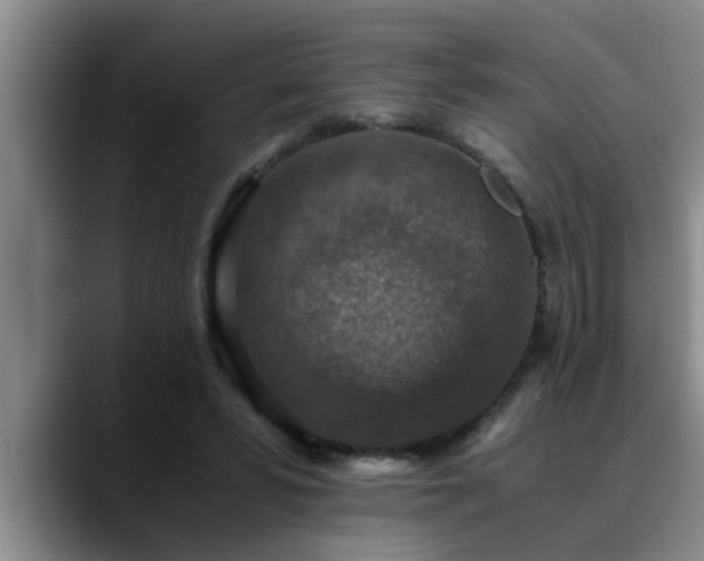 X0000090700399200707201201