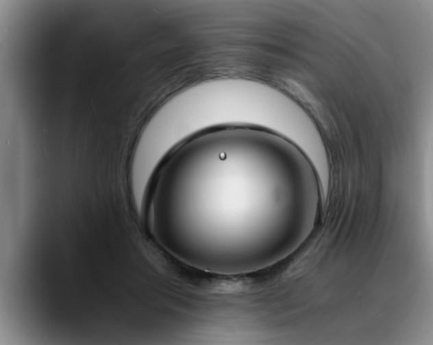 X0000090700405200707201201