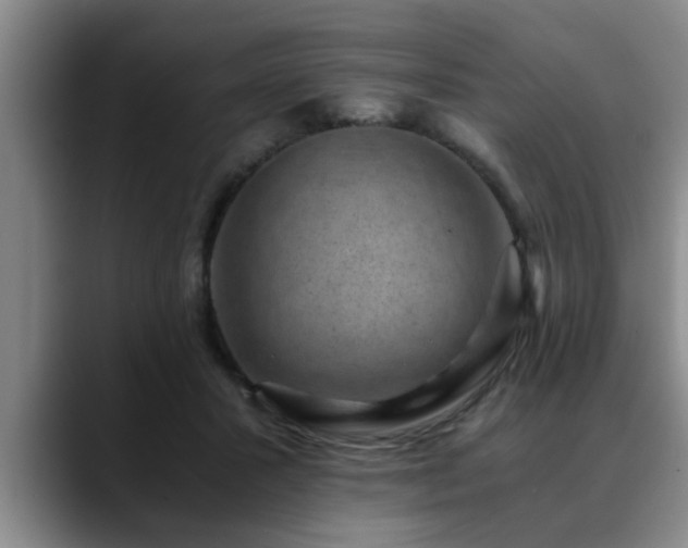 X0000090700407200707201201