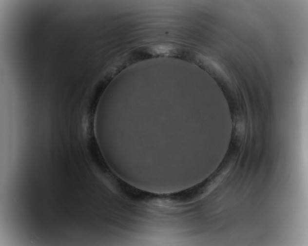 X0000090700408200707201201