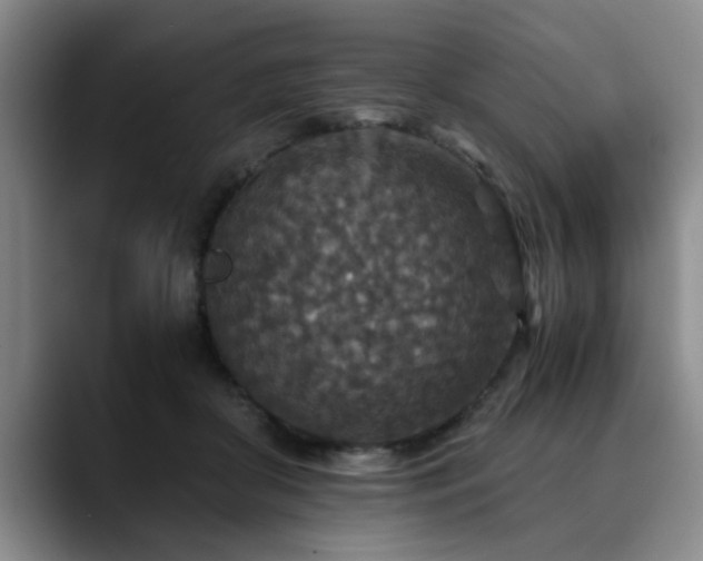 X0000090700410200707201201