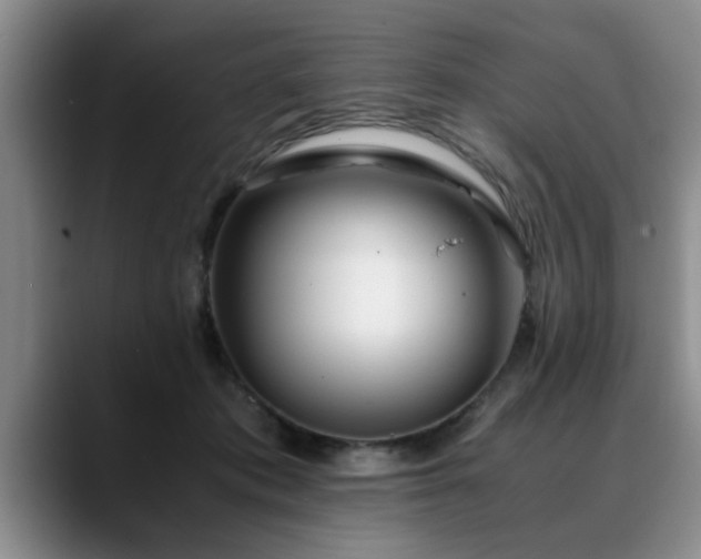 X0000090700413200707201201