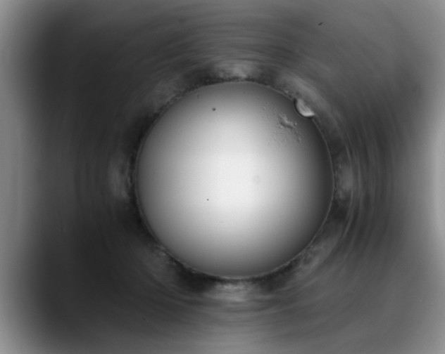 X0000090700414200707201201