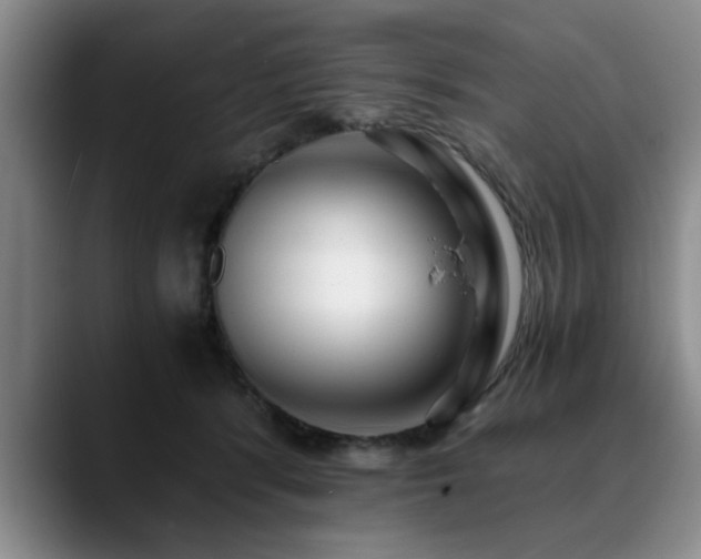 X0000090700416200707201201