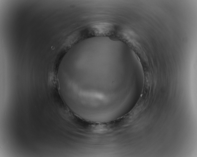 X0000090700419200707201201