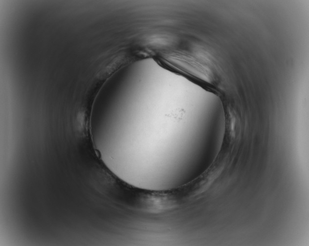 X0000090700420200707201201