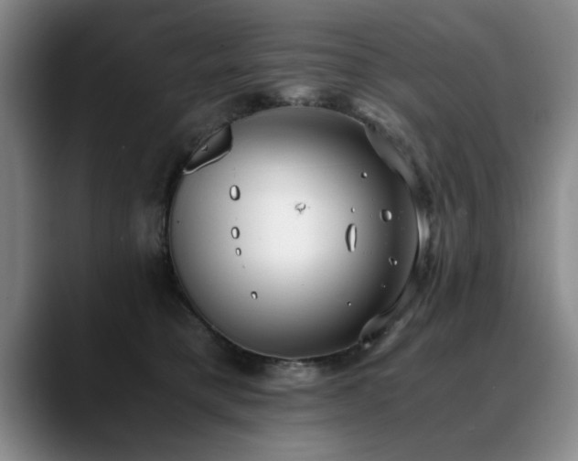 X0000090700421200707201201