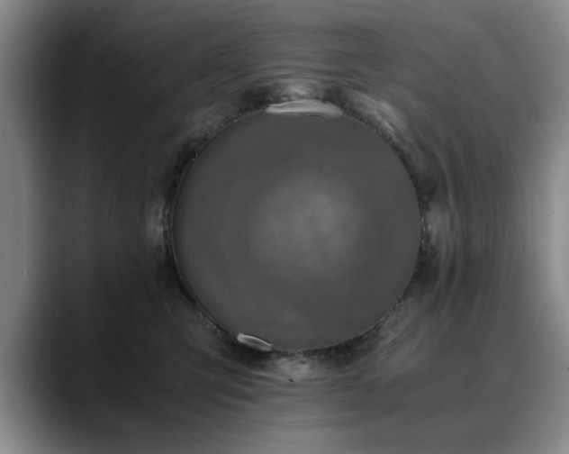 X0000090700423200707201201