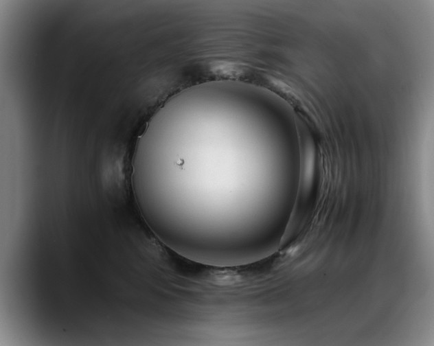 X0000090700424200707201201