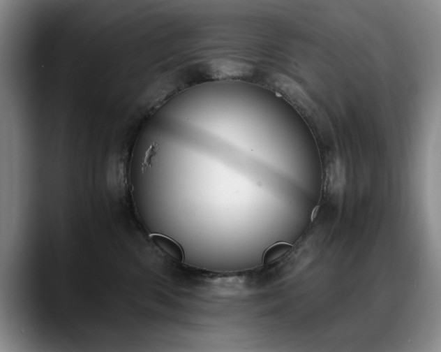 X0000090700426200707201201