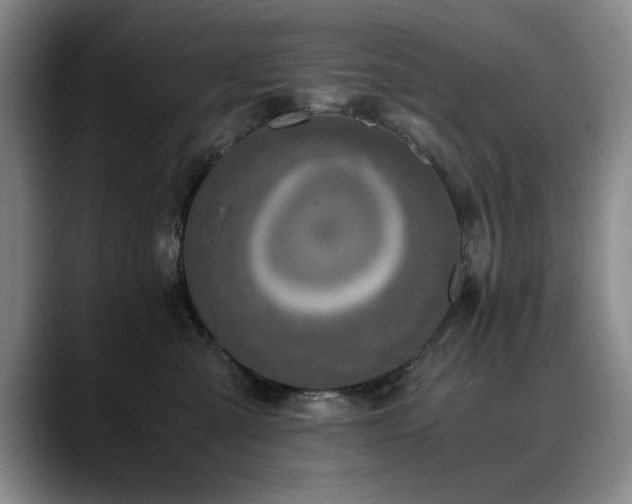 X0000090700427200707201201