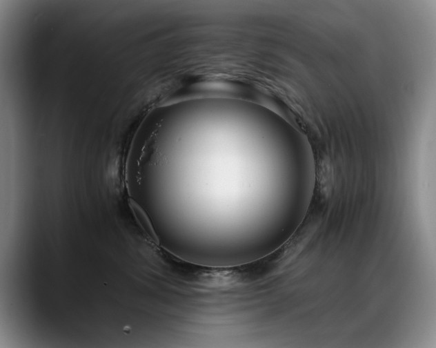 X0000090700428200707201201