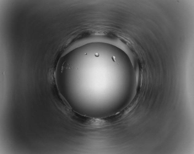 X0000090700429200707201201