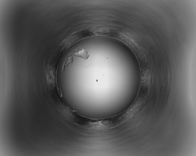 X0000090700430200707201201