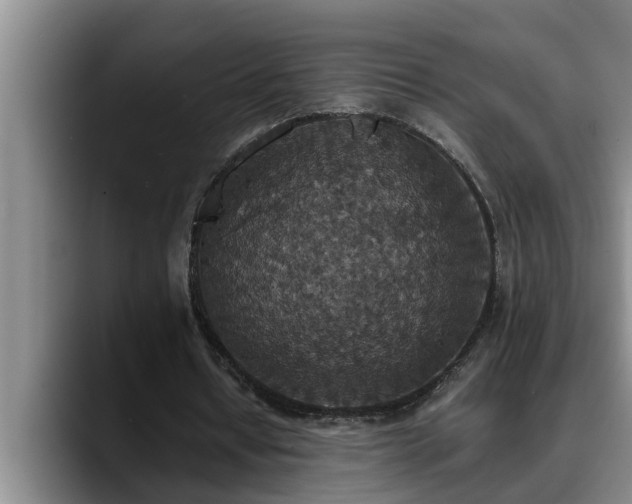 X0000090700434200707201200