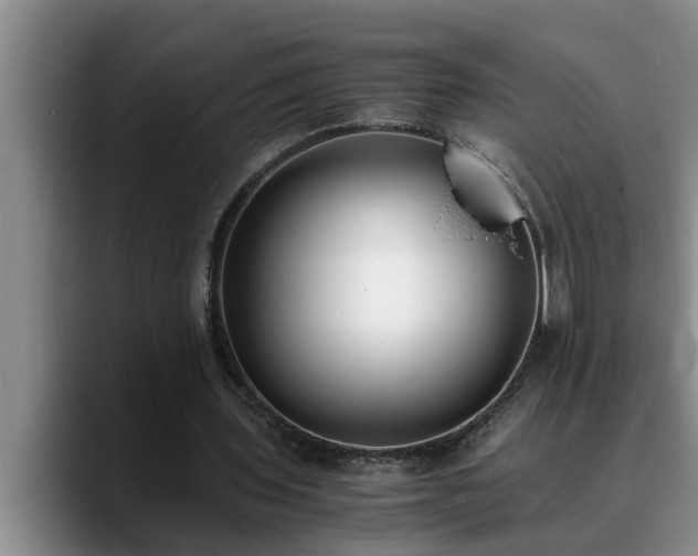 X0000090700435200707201200