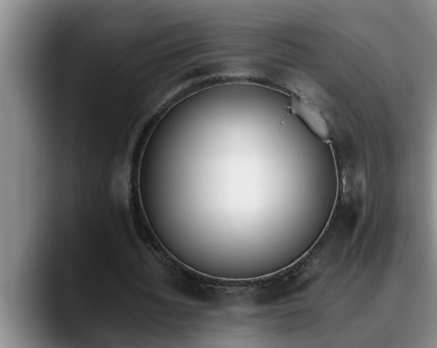 X0000090700436200707201200