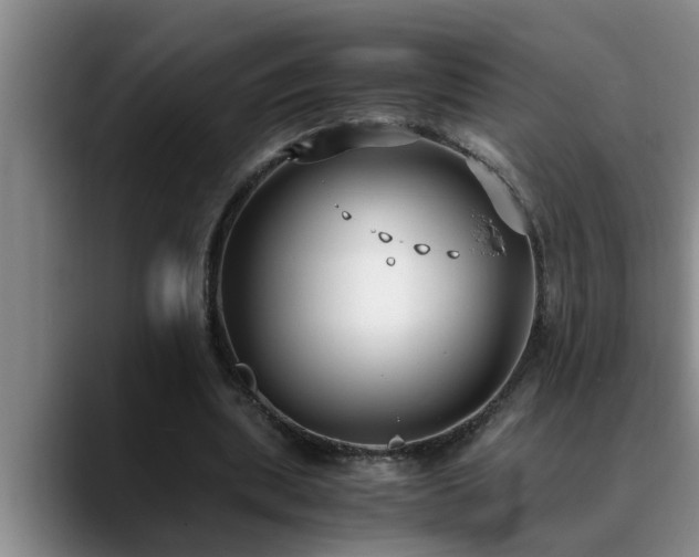 X0000090700439200707201200