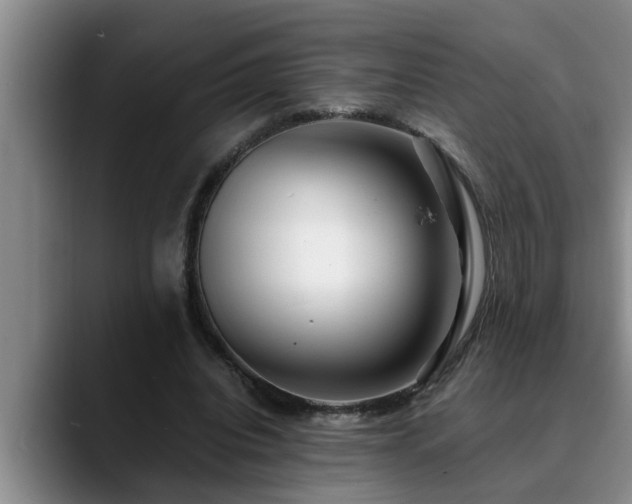 X0000090700440200707201200