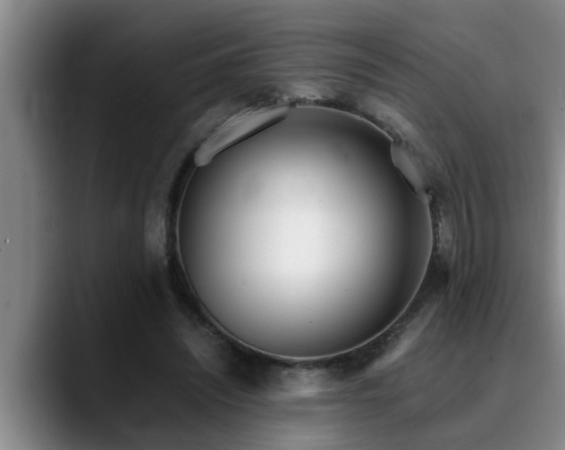 X0000090700444200707201200