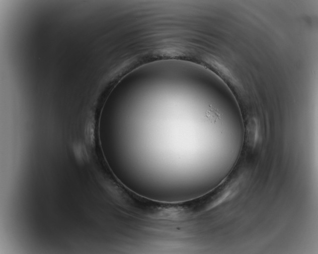 X0000090700446200707201200