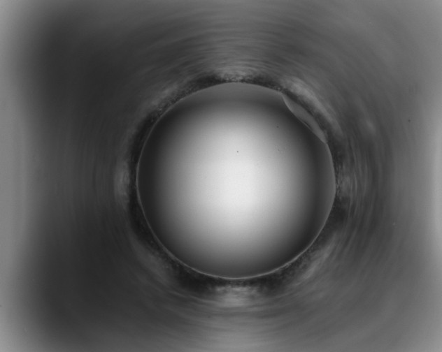 X0000090700448200707201200