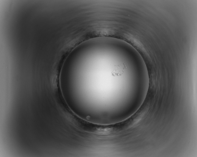 X0000090700450200707201200