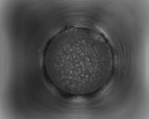 X0000090700451200707201200