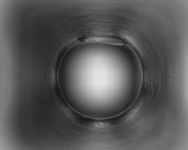 X0000090700453200707201200