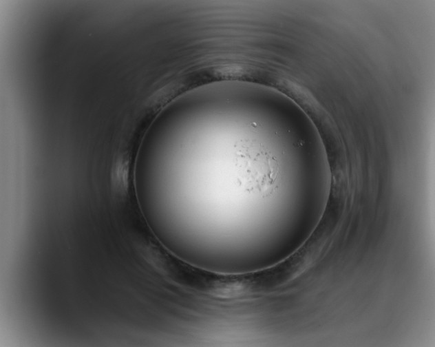 X0000090700454200707201200