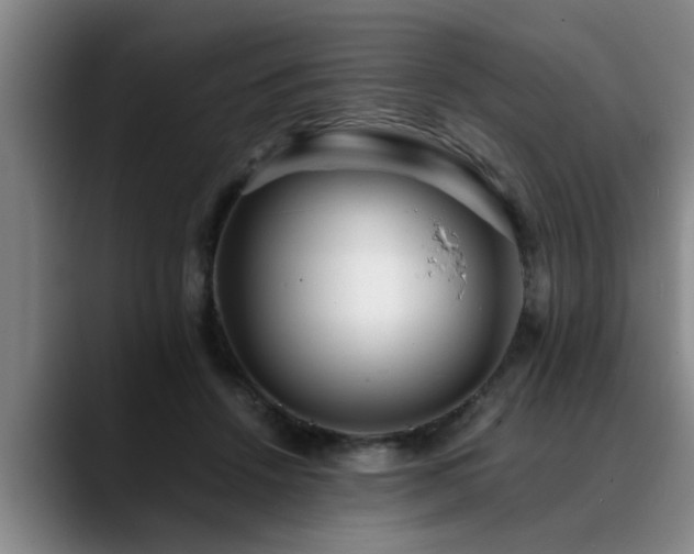 X0000090700456200707201200