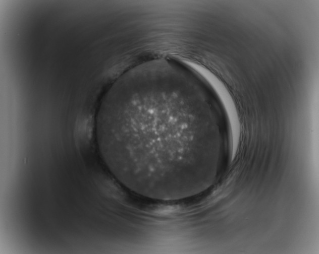 X0000090700458200707201200