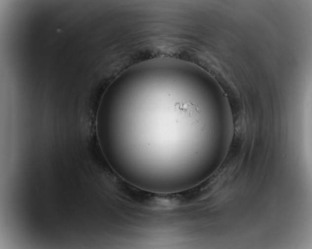 X0000090700464200707201200