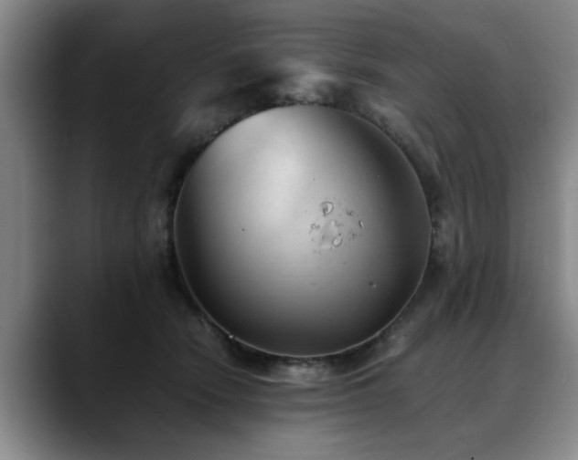 X0000090700466200707201200