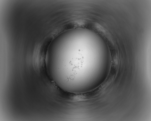 X0000090700468200707201200