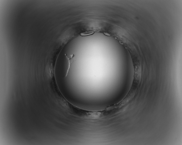 X0000090700474200707201200