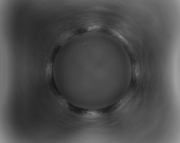 X0000090700475200707201200