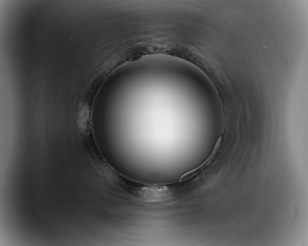 X0000090700480200707201201